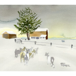 Herd of Goats going back to the barn through a snow covered field
